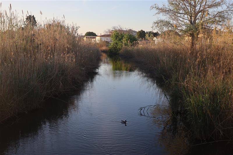 Rio Molinell Les Deveses